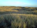 Dunes