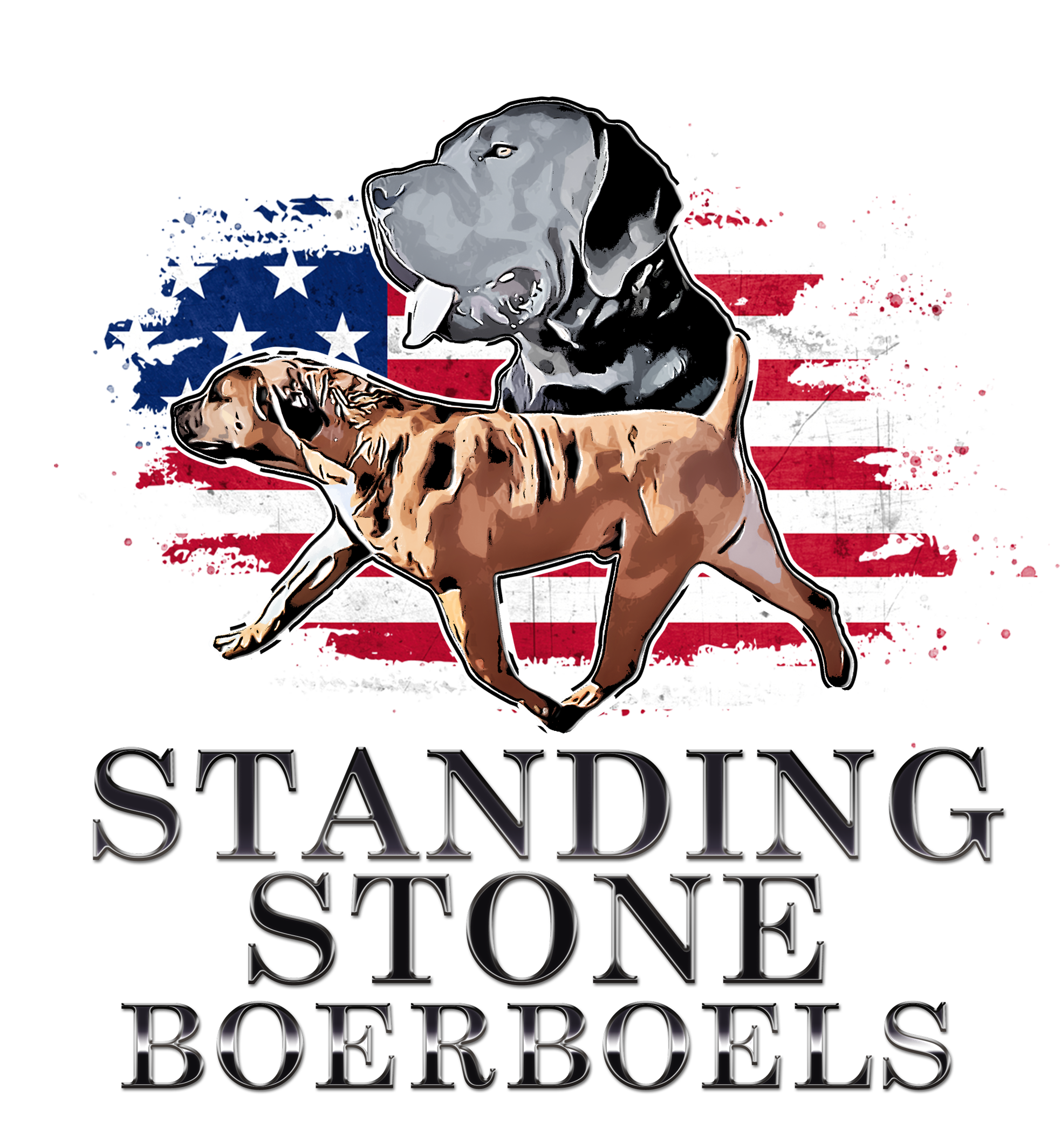 Standing Stone Boerboels