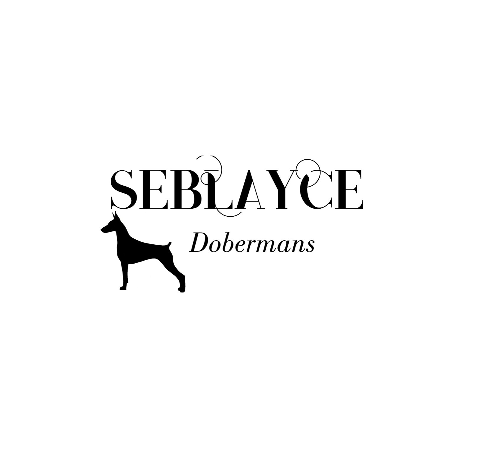 Seblayce Dobermans