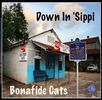 Down in 'Sippi - CD