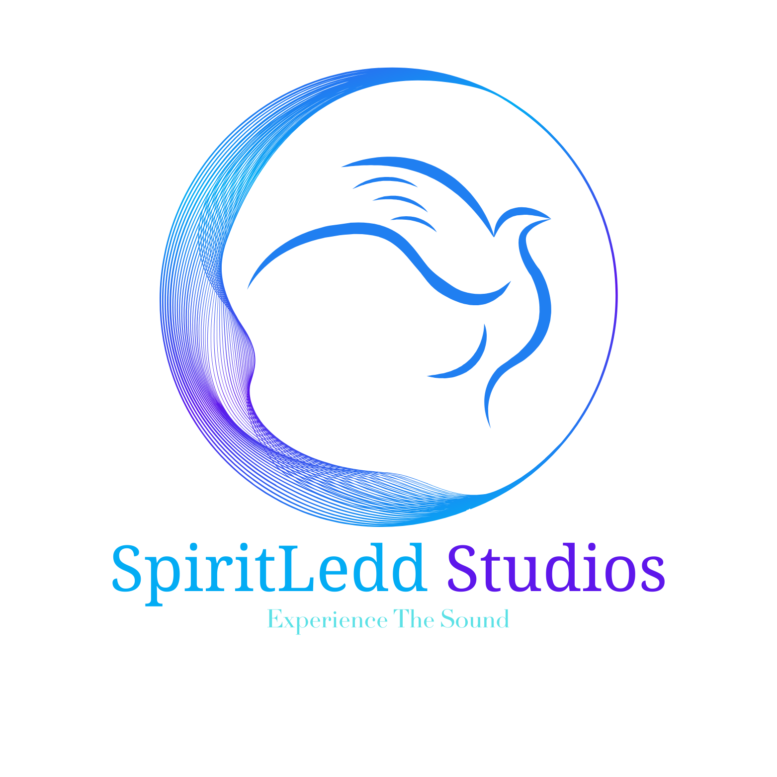 SpiritLedd Studios