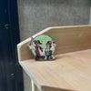 Rover's Way Character Pin