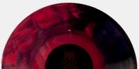 THEY ARE ALL BASTARDS EXCEPT US - Limited Ed Vinyl with Download