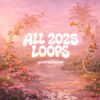 all 2025 loops