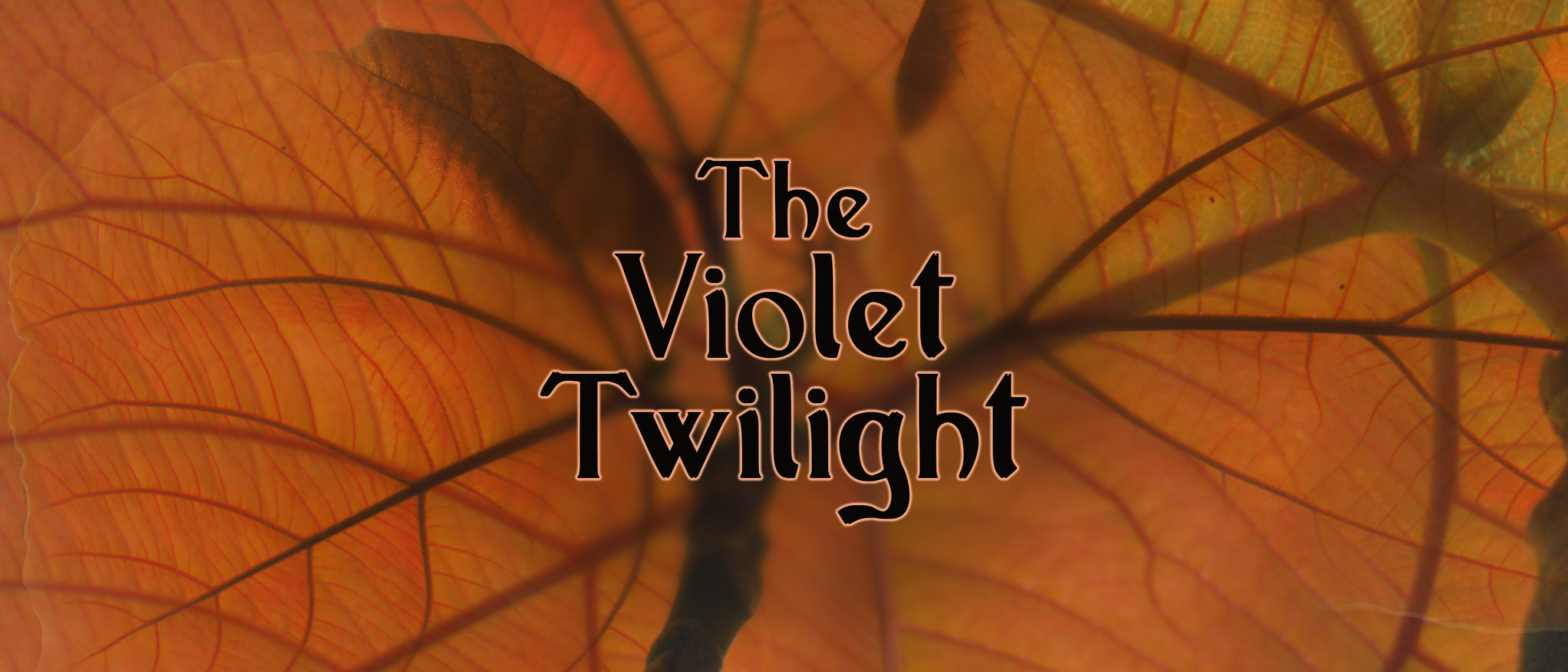 The Violet Twilight