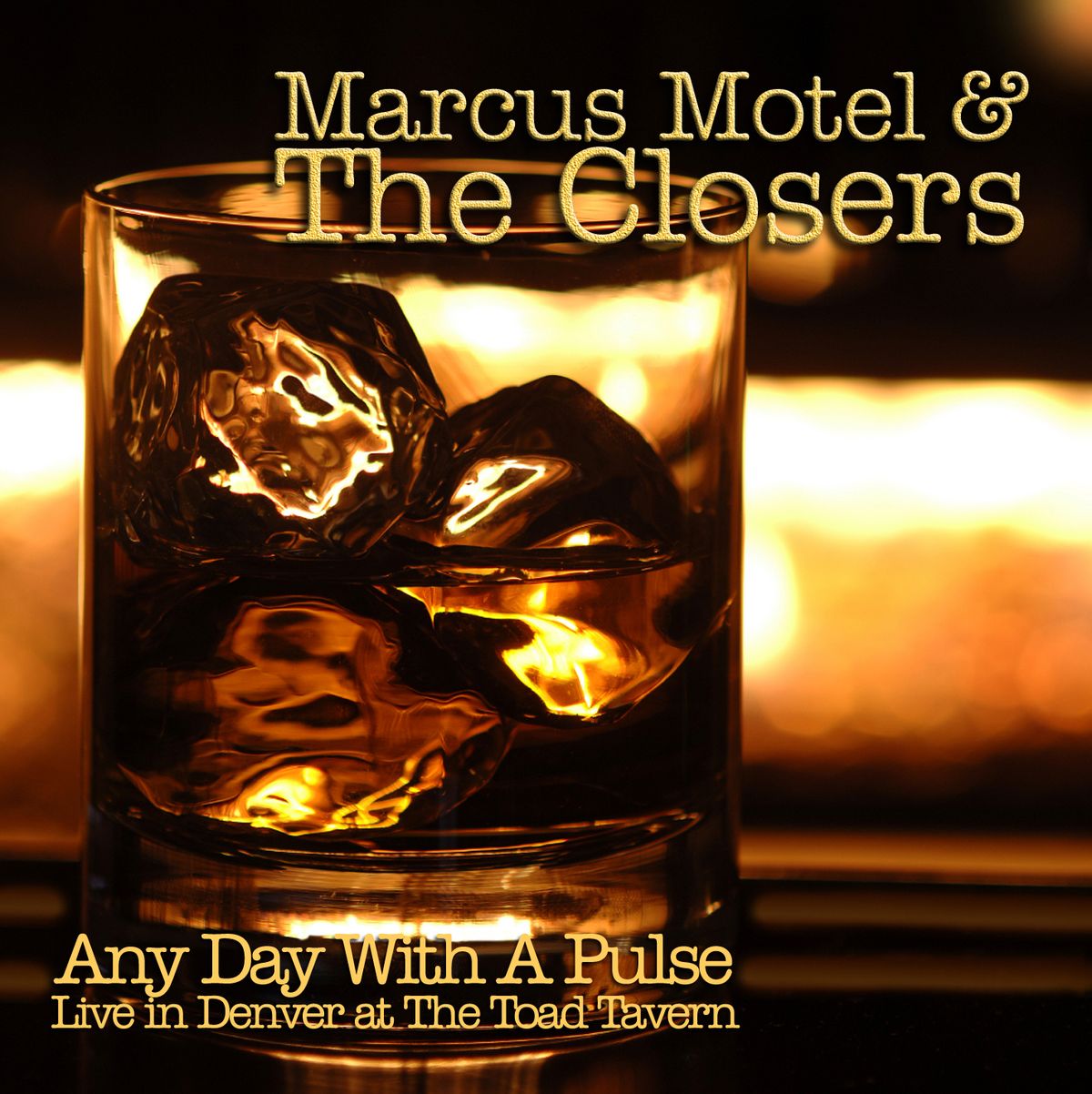 Any Day With A Pulse (Live at the Toad) - CD 2014