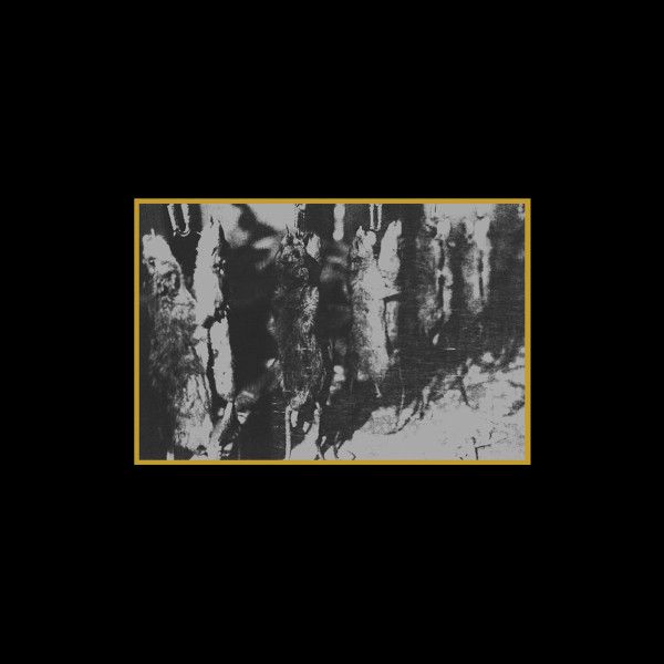 Various – Ancient Meat Revived / A Tribute To Cold Meat Industry - Vinyl
