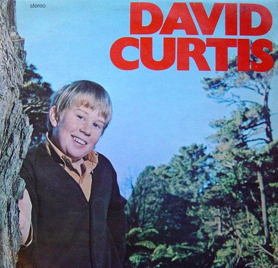 David Curtis – David Curtis - Vinyl