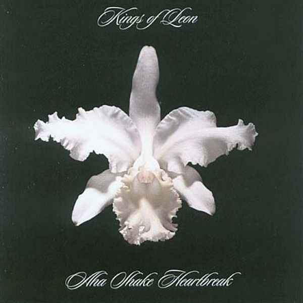 Kings Of Leon – Aha Shake Heartbreak - Vinyl
