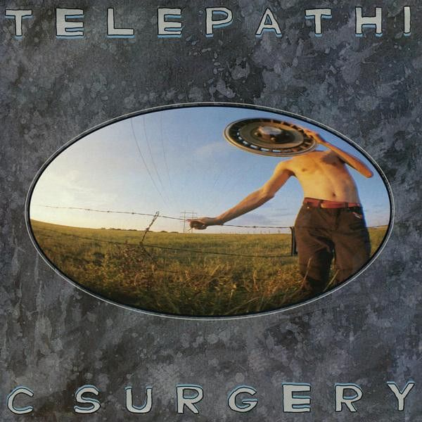 The Flaming Lips – Telepathic Surgery - Vinyl