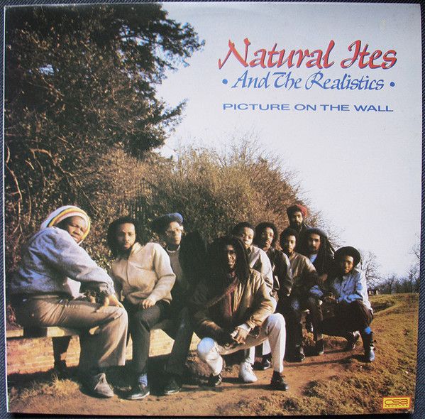 Natural Ites & The Realistics – Picture On The Wall - Vinyl
