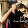 Guided By Voices – August By Cake - Vinyl
