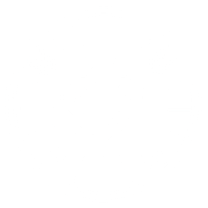 The Fan