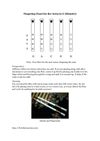 Areta, Suling Style Ring Flute in G (Slendro)
