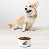 BLVD 1500 Pet Bowl
