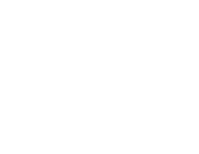 Steel Sparrows