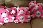 Live Wire Pinky Bear