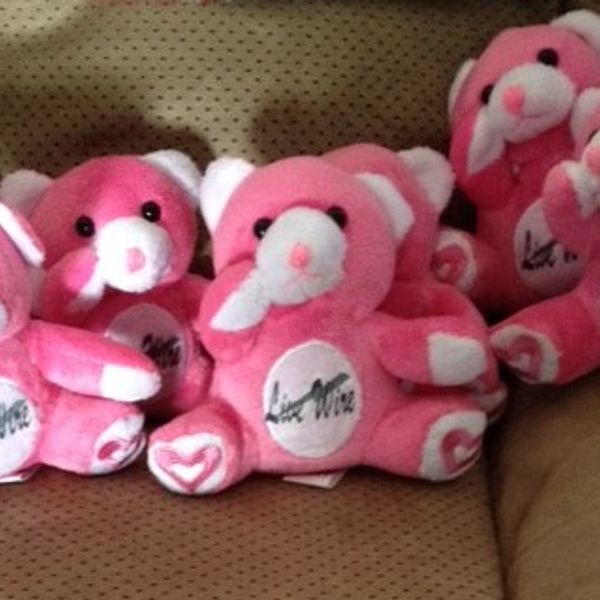 Live Wire Pinky Bear