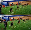Camp Coliseum Speed & Agility "Winter Edition"
