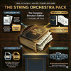 Carol of the Bells / God Rest Ye Merry Gentlemen (Violin) - String Orchestra Suite