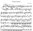 Sonata Animato
