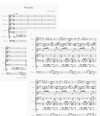 Twig Jig (PERCUSSION ENS.)