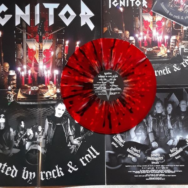 Haunted by Rock and Roll - Vinyl