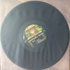 Undeniable Truth - Limited Edition - 12" Vinyl