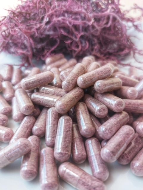 Purple seamoss capsules 60 ct