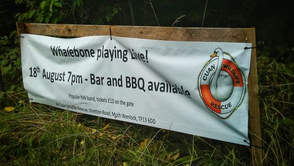 Whalebone Cuan Wildlife Banner