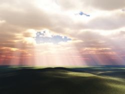 shutterstock_2666441_500x375_250x188.jpg