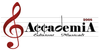 accademia2008 button