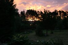 Night in Waihi