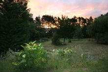 Night time in Waihi
