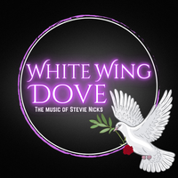 White Wing Dove at Sunset Beach Park