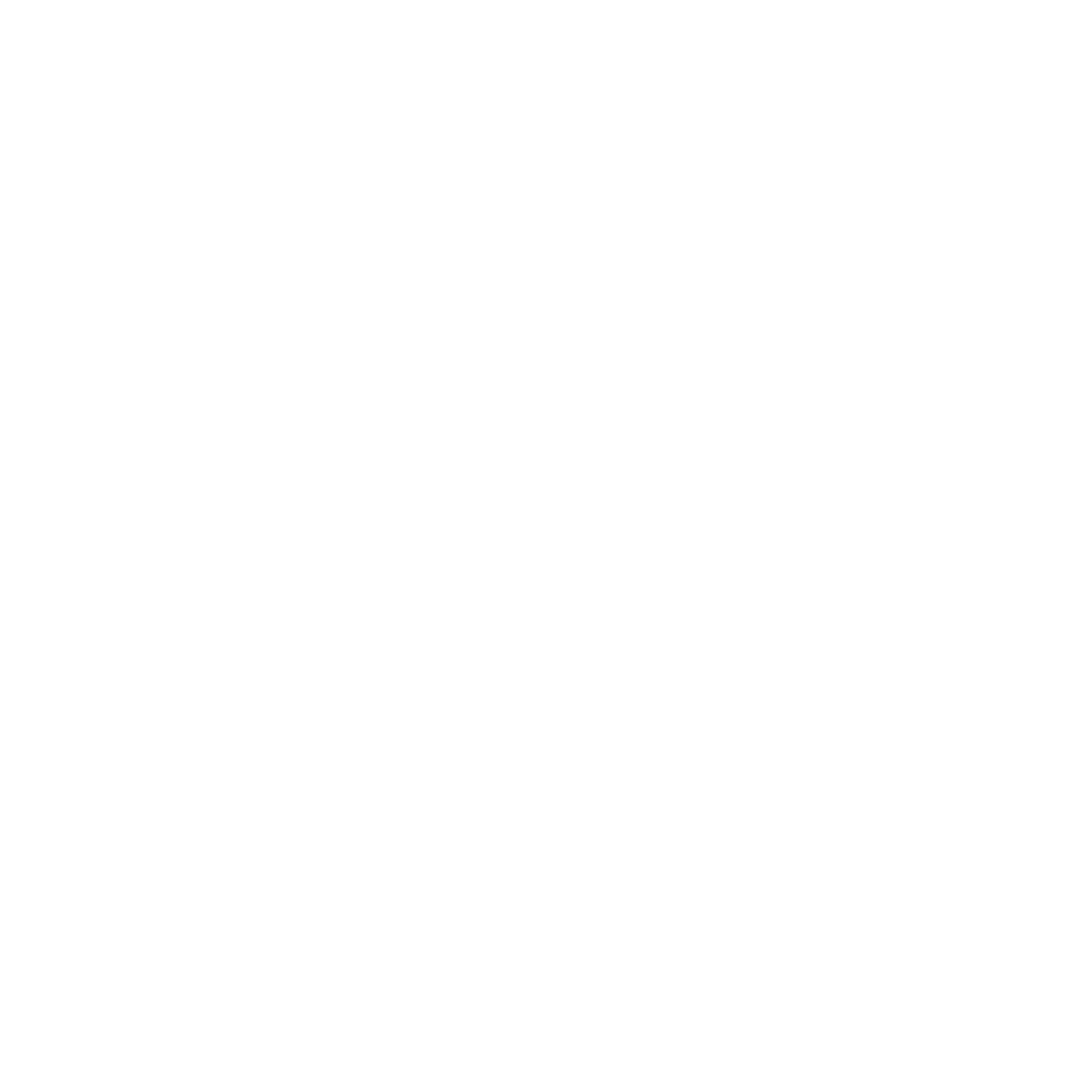 The Flying Squad