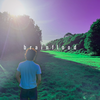 Brainflood by Ben Monkhouse