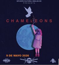 Chameleons
