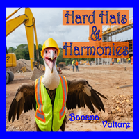 Hard Hats and Harmonies by Banana Vulture