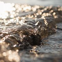 Shimmering Coalescence by Gavin Tomasco
