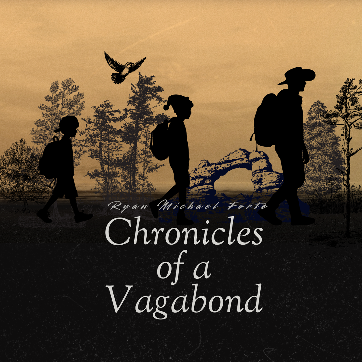 Funding -- Chronicles of a Vagabond - Album