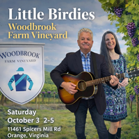 Little Birdies