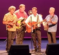 Cook County Bluegrass