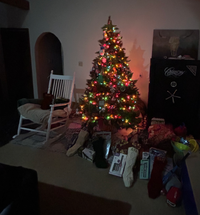 Christmas in the Desert