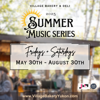 Alex Hodgins and the Screendoors at the Summer Music Series