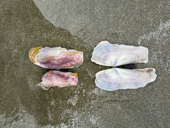 footsteps in the sand
