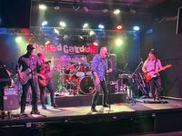Wicked Garden at Mainstreet Bar