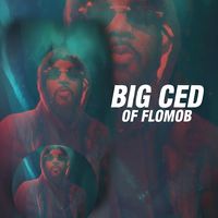 Be Like Water by Big Ced of Flomob
