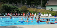 Shirley Land and Water Fundraiser