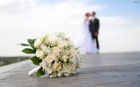 Private Wedding